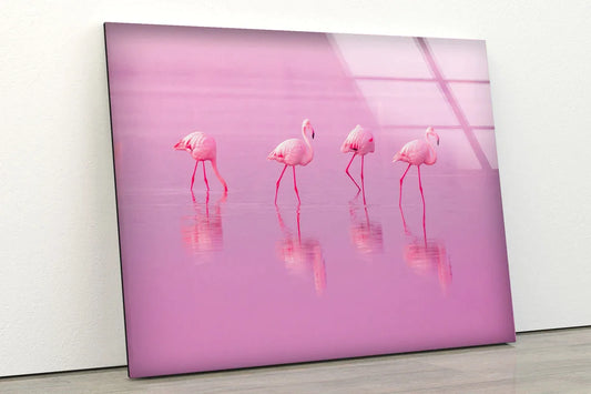 Flamingo Birds on Water UV Direct Aluminum Print Australian Made Quality