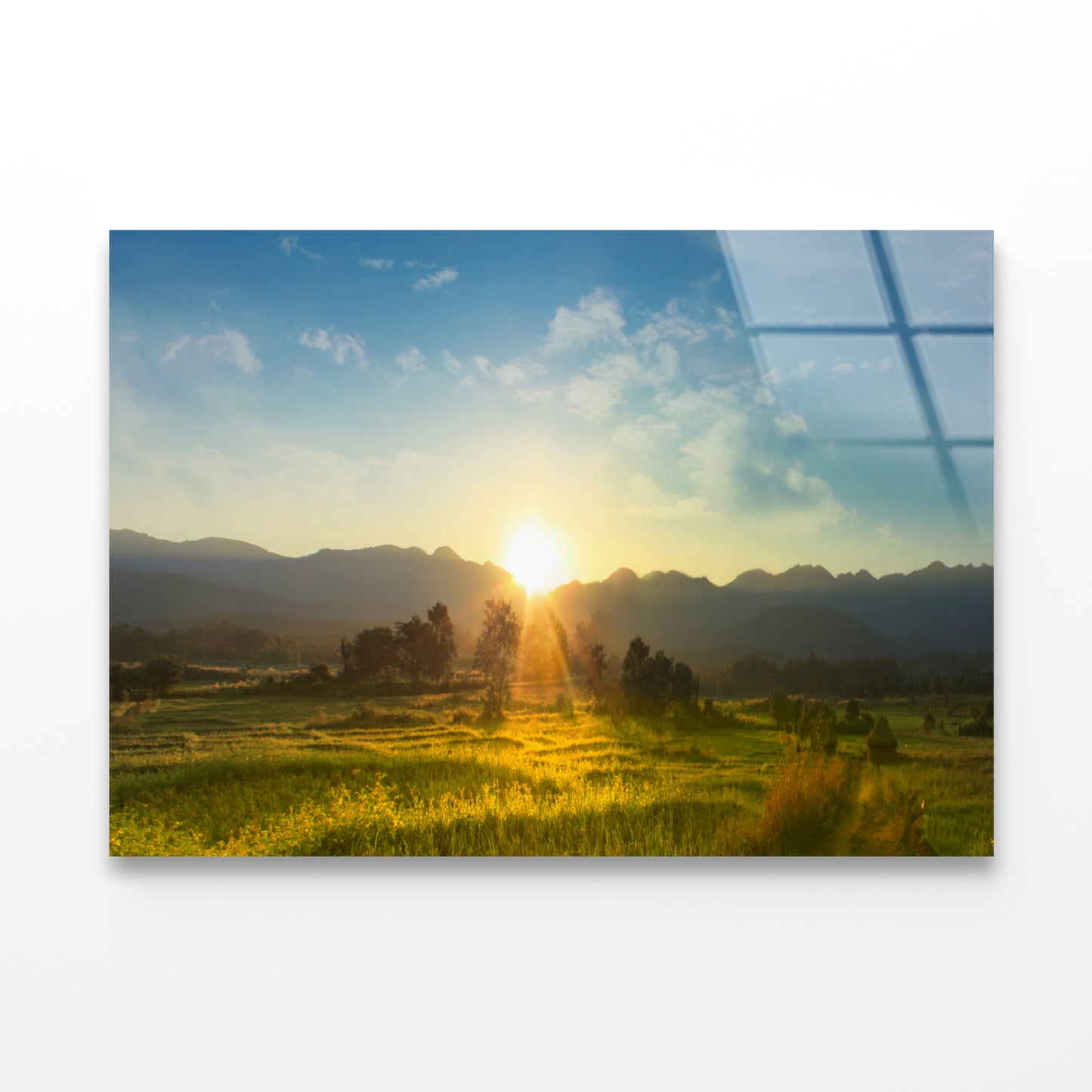 Sunset, Blossoming Meadow Acrylic Glass Print Tempered Glass Wall Art 100% Made in Australia Ready to Hang