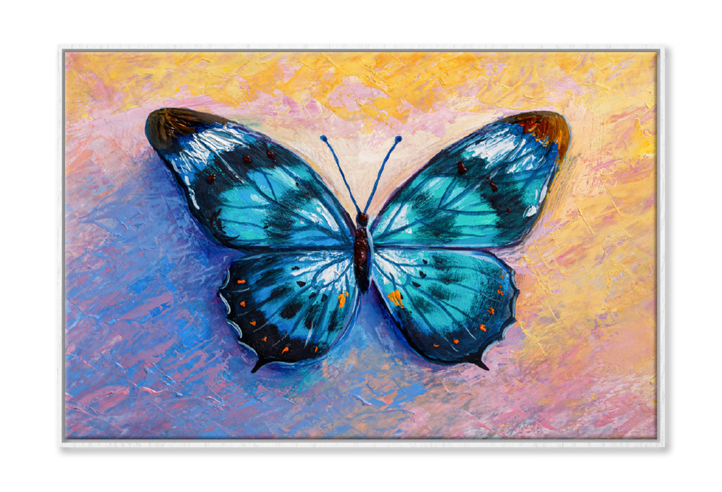 Oil Painting Of Blue Butterfly Limited Edition High Quality Print Canvas Box Framed White