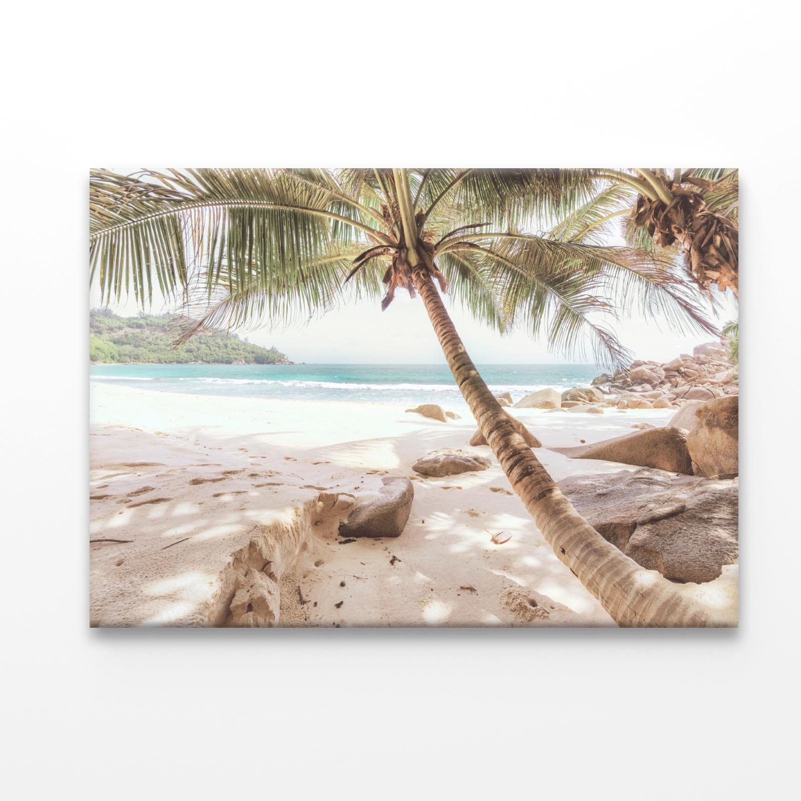 Beach With Palm Trees Acrylic Glass Print Tempered Glass Wall Art 100% Made in Australia Ready to Hang