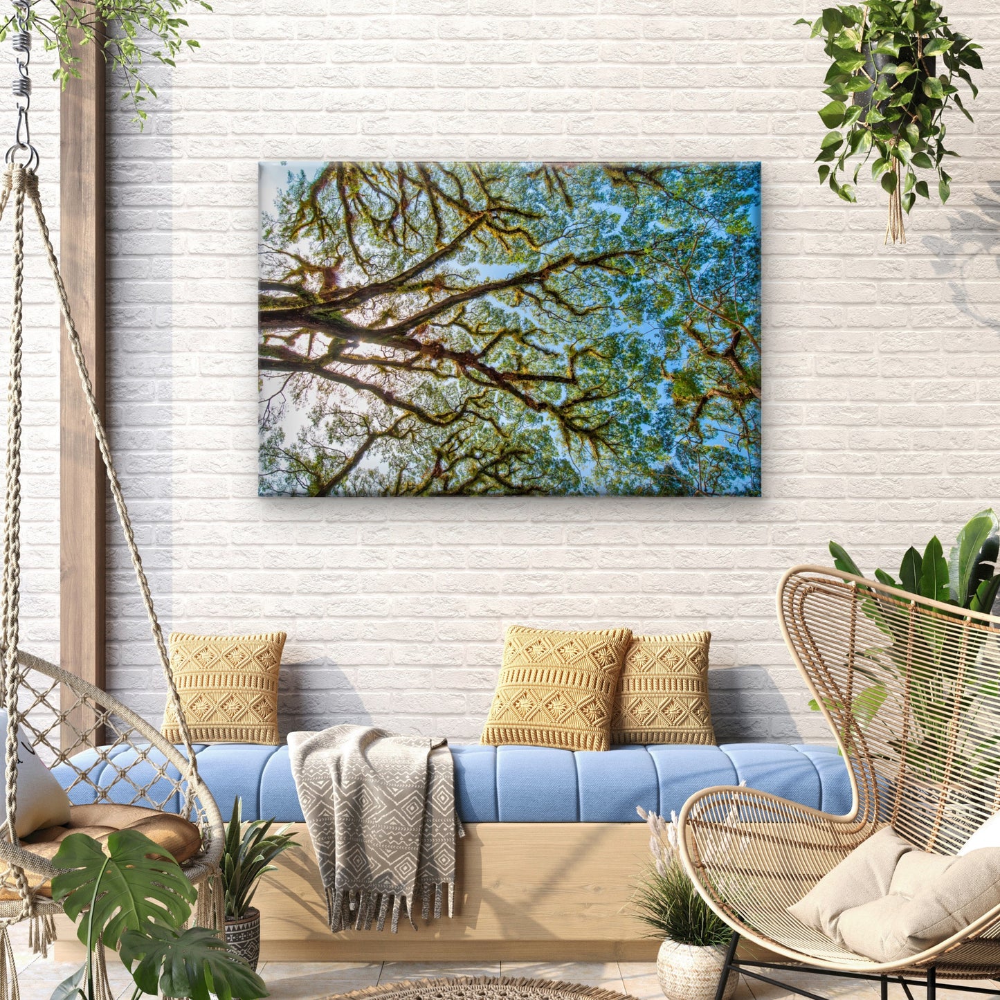 Tree Branches Daintree National Park Australia Wall Art Decor 100% Australian Made