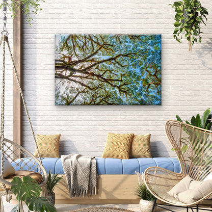 Tree Branches Daintree National Park Australia Wall Art Decor 100% Australian Made