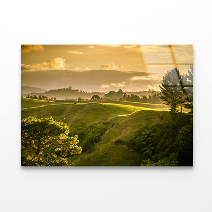 Grassy Hill and Trees with Sky Acrylic Glass Print Tempered Glass Wall Art 100% Made in Australia Ready to Hang