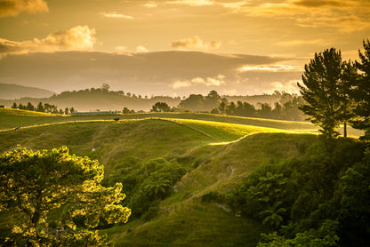 Grassy Hill and Trees with Sky Home Decor Premium Quality Poster Print Choose Your Sizes