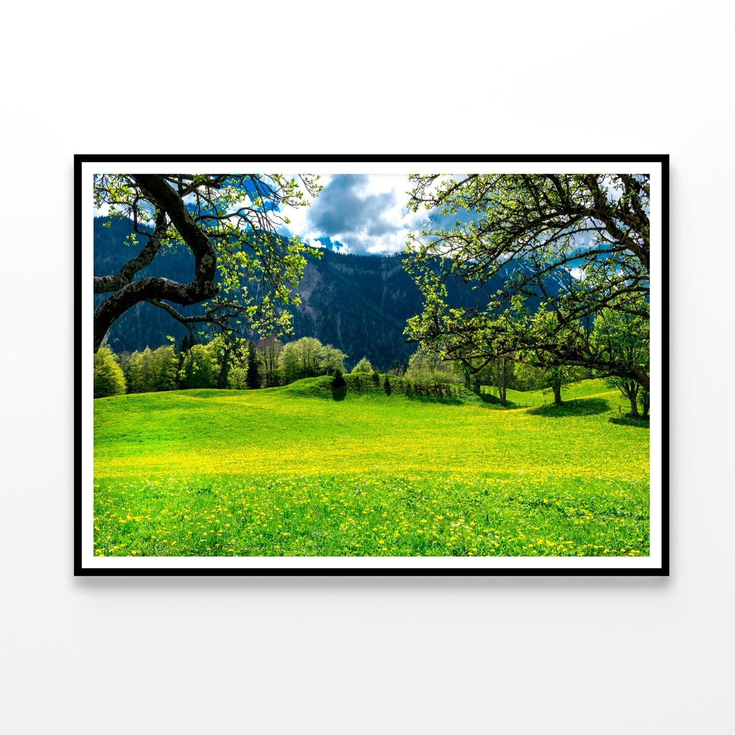 Sommerwiese with Mountains Home Decor Premium Quality Poster Print Choose Your Sizes