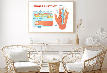 Finger Anatomy Medical Vector Home Decor Premium Quality Poster Print Choose Your Sizes