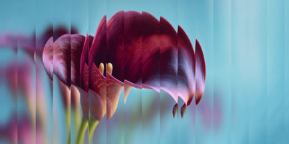 Glass Burgundy Calla Lily Flower Abstract Wall Art Canvas Office Home Framed 120x60cm