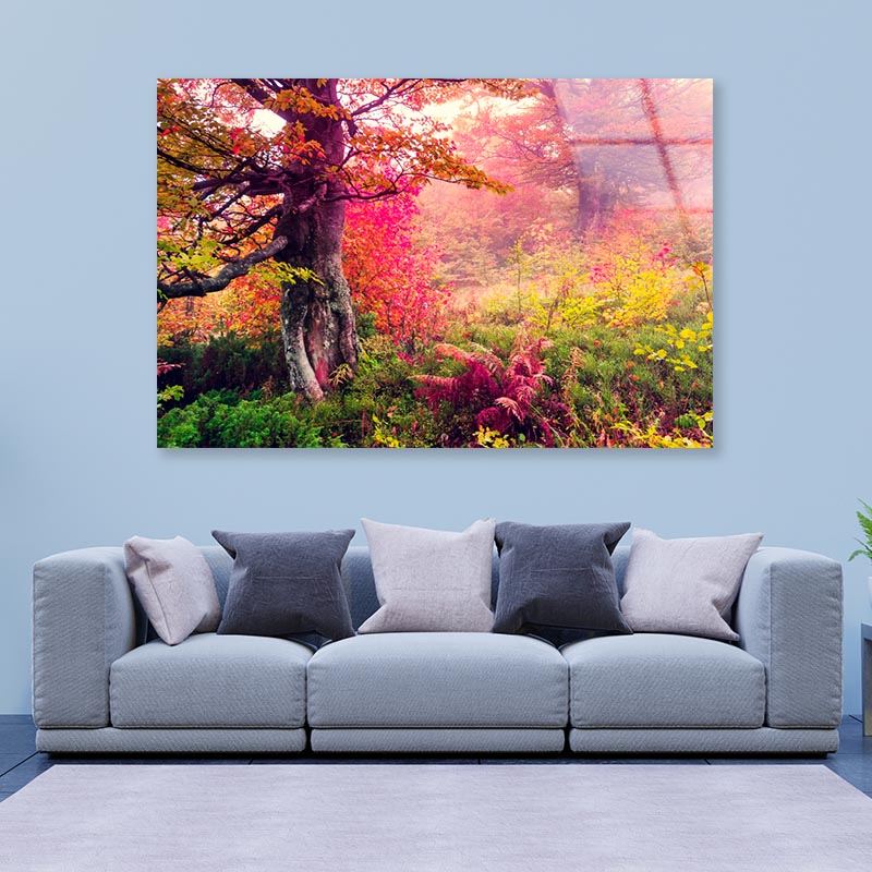 Majestic Landscape with Autumn Trees in Forest  Acrylic Glass Print Tempered Glass Wall Art 100% Made in Australia Ready to Hang