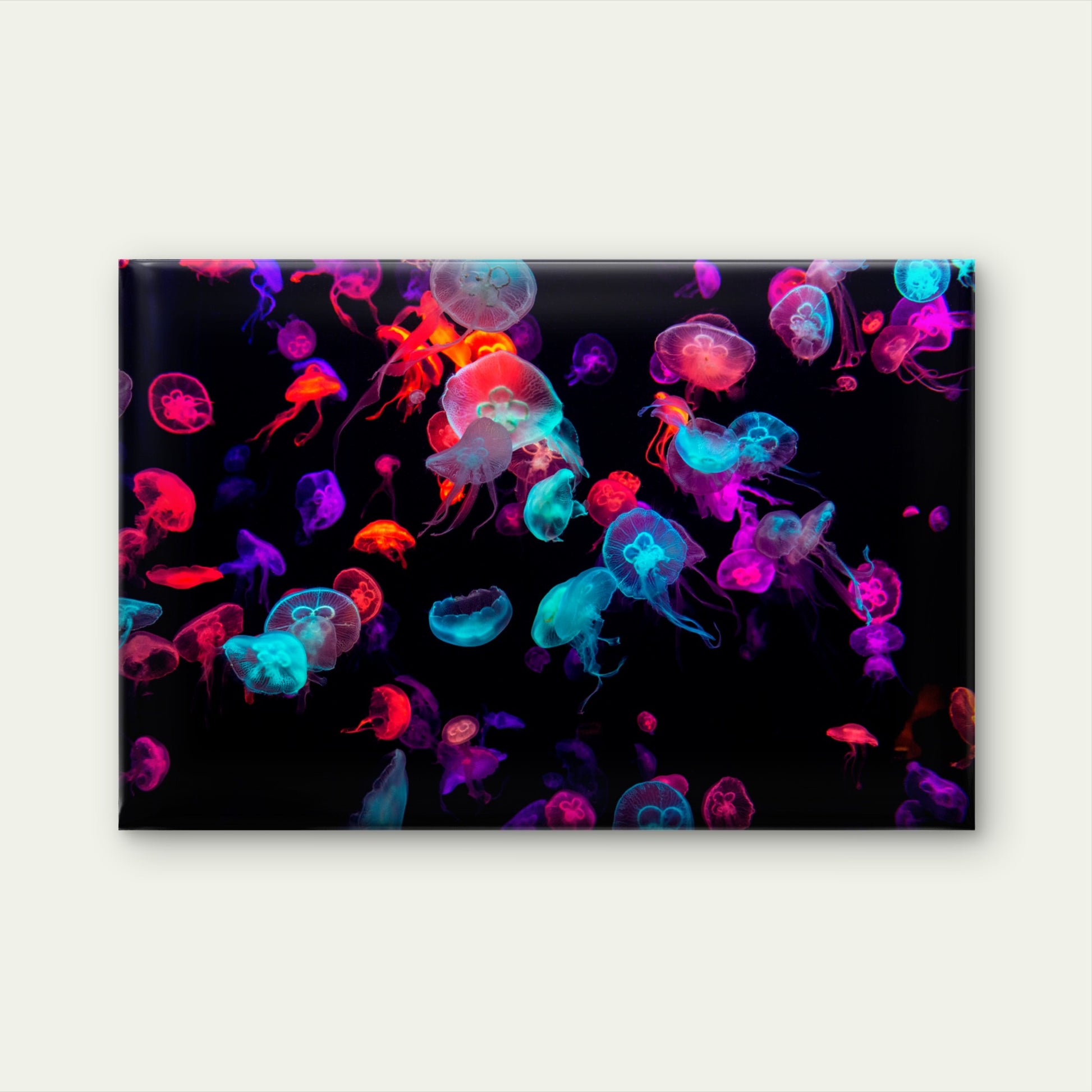 Neon Glowing Jellyfish Sea Wall Art Decor 100% Australian Made - Bella Home Decor