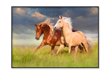 Horses Running in A Field with A Cloudy Sky Home Decor Premium Quality Poster Print Choose Your Sizes