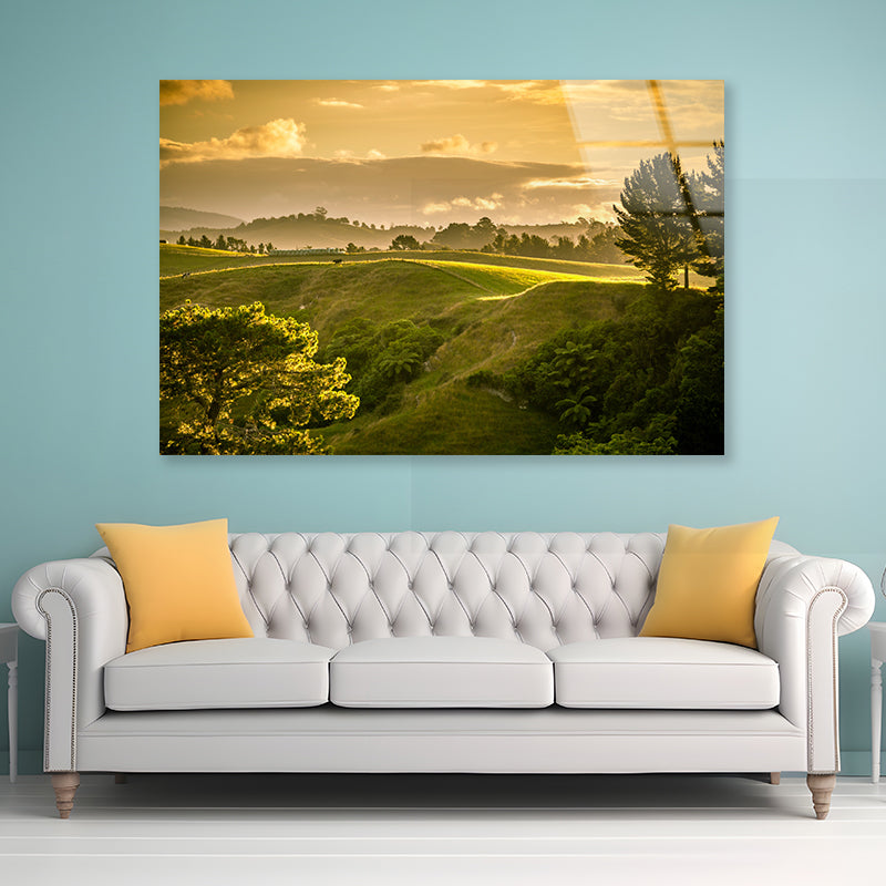 Grassy Hill and Trees with Sky Acrylic Glass Print Tempered Glass Wall Art 100% Made in Australia Ready to Hang