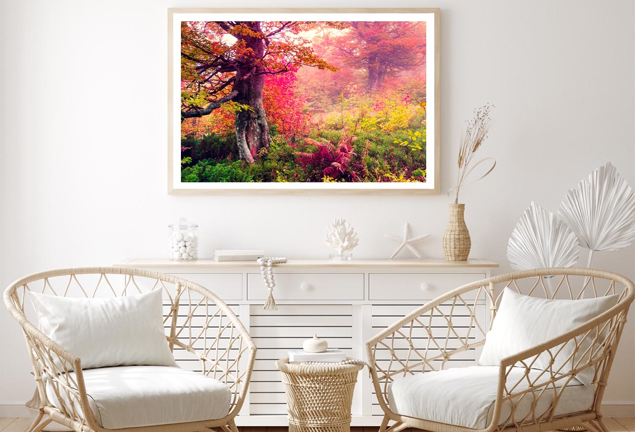 Majestic Landscape with Autumn Trees in Forest Home Decor Premium Quality Poster Print Choose Your Sizes