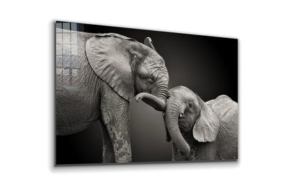 Elephant Baby B&W View UV Direct Aluminum Print Australian Made Quality