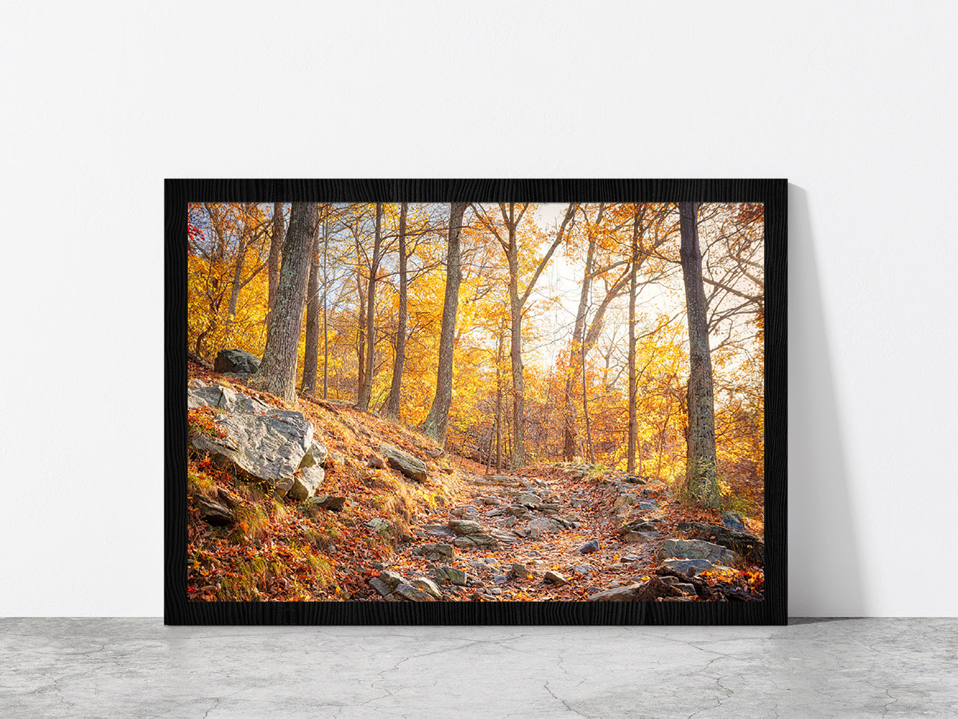 Hiking Trail In Autumn Forest Glass Framed Wall Art, Ready to Hang Quality Print Without White Border Black