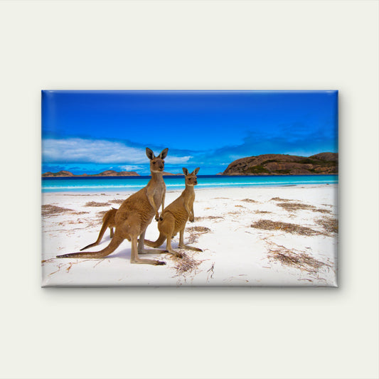 Lucky Bay Australian Kangaroo Wall Art Decor 100% Australian Made