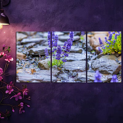 3pcs Sun-Drenched Meadow with Rocks Wall Art Set Canvas Framed 40x60cm - High Quality Print 100% Australian Made Wall Canvas Ready to Hang