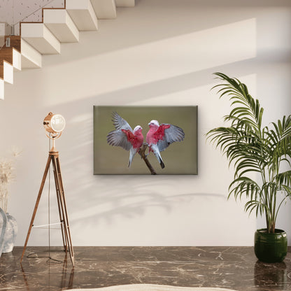 Galahs on Cooper Creek South Australia Wall Art Decor 100% Australian Made