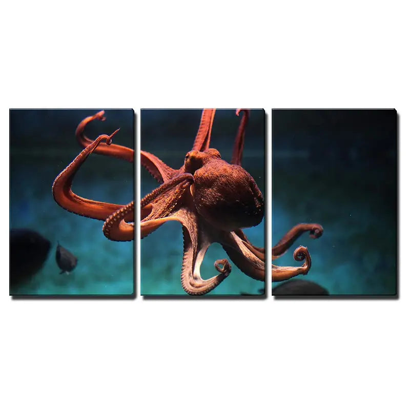 3pcs Common OctopusSealife Animal Metal Print Ready to Hang Art