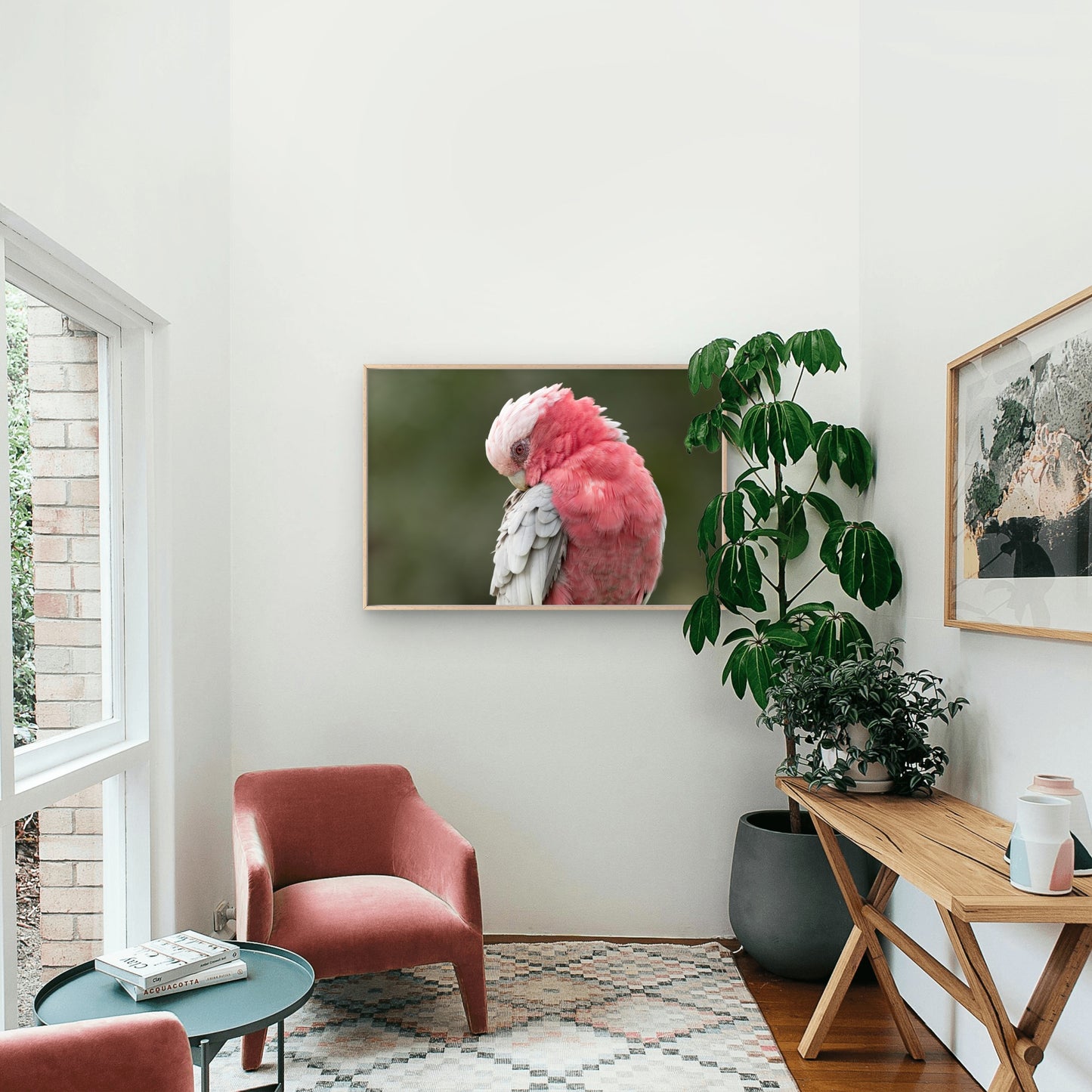 Galah Preening Feathers Gold Coast Queensland Wall Art Decor 100% Australian Made