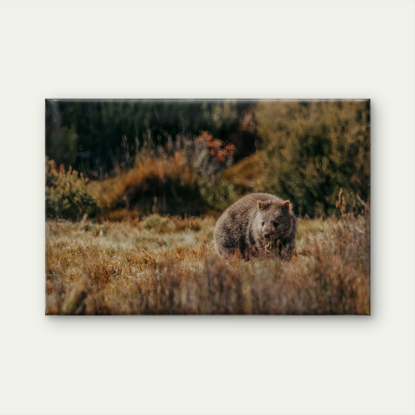 Wombat Cradle Mountain Wall Art Decor 100% Australian Made