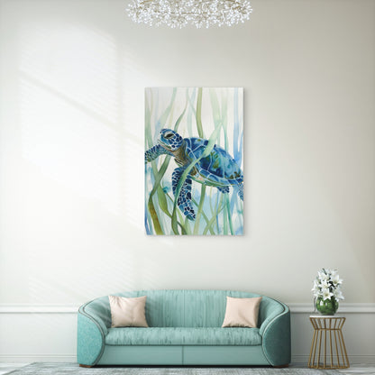 Turtle With Algae Illustration 60x90cm Metal Print Ready to Hang