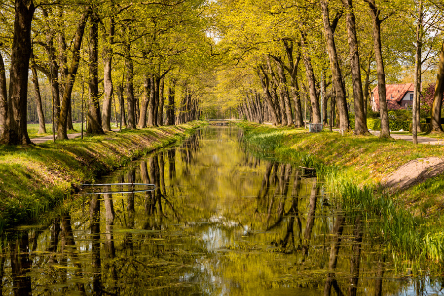 Canal With Water Greenery & Nature Print 100% Australian Made