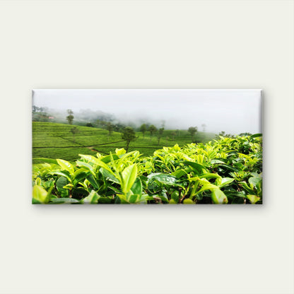 Green Tea Plantation View Wall Art Canvas Office Home Room Framed 120x60cm