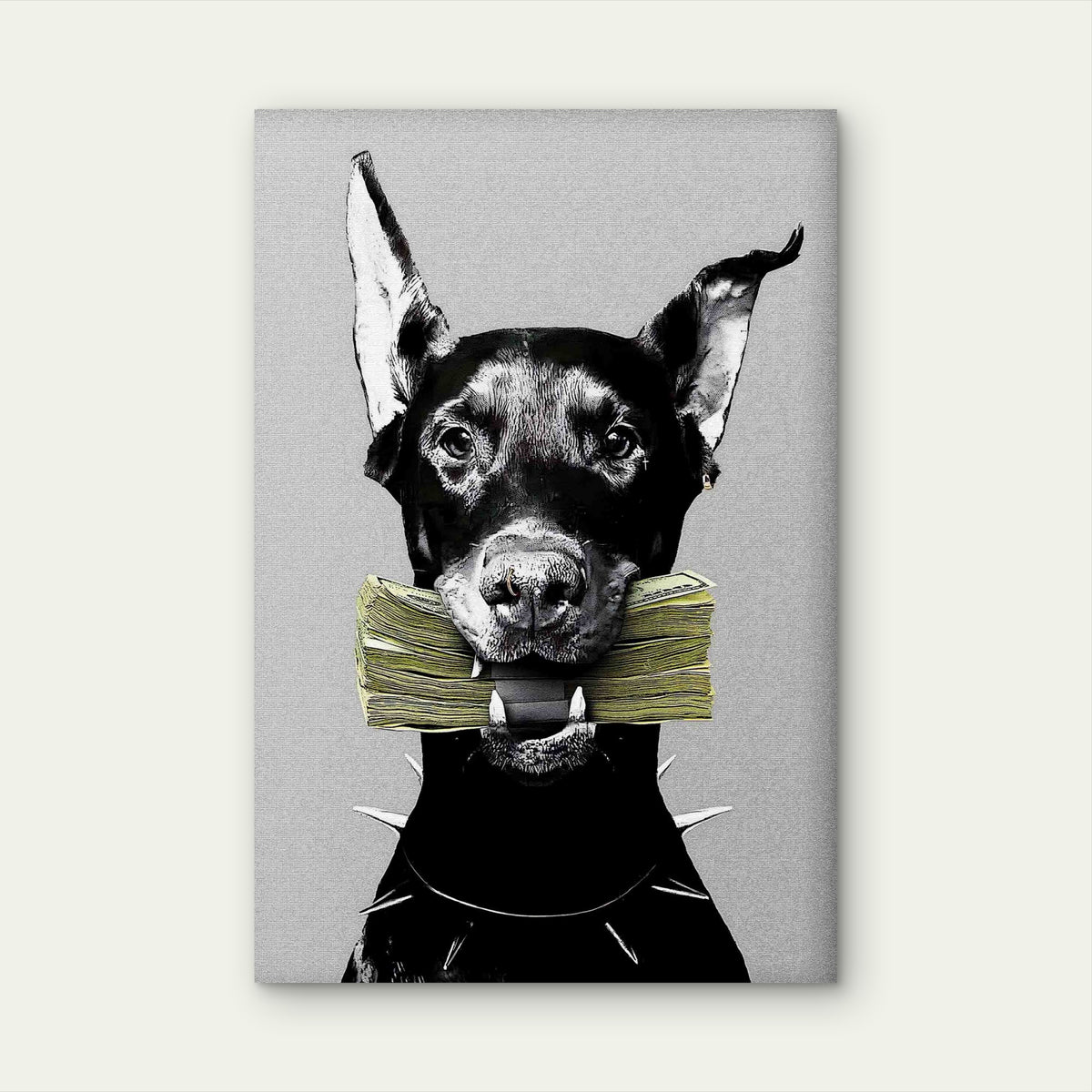 Doberman Spiked Collar Cash Money Stack 60x90cm Metal Print Ready to Hang