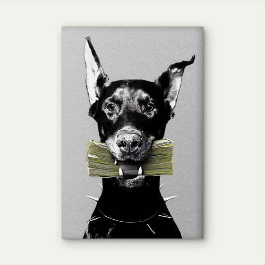 Doberman Spiked Collar Cash Money Stack 60x90cm Metal Print Ready to Hang