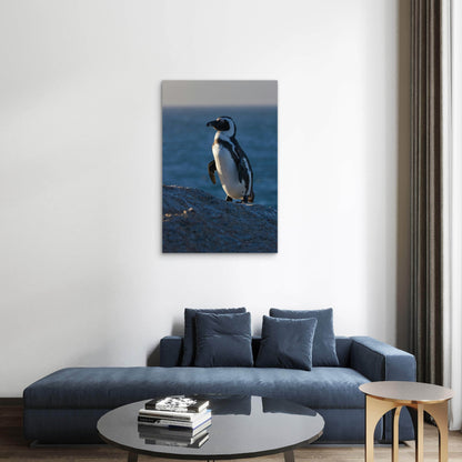 African Penguin with Ocean View 60x90cm Metal Print Ready to Hang