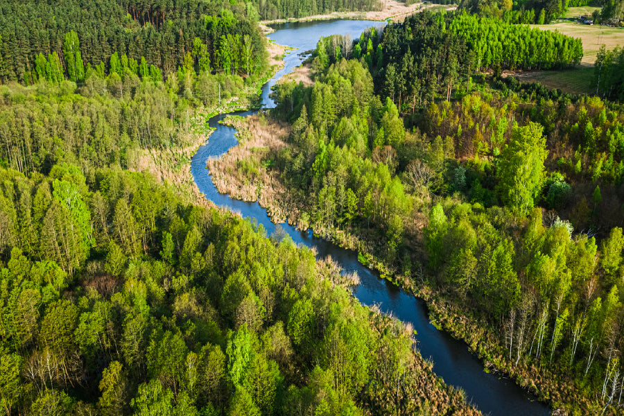 Green Forest & River In Summer Glass Framed Wall Art, Ready to Hang Quality Print