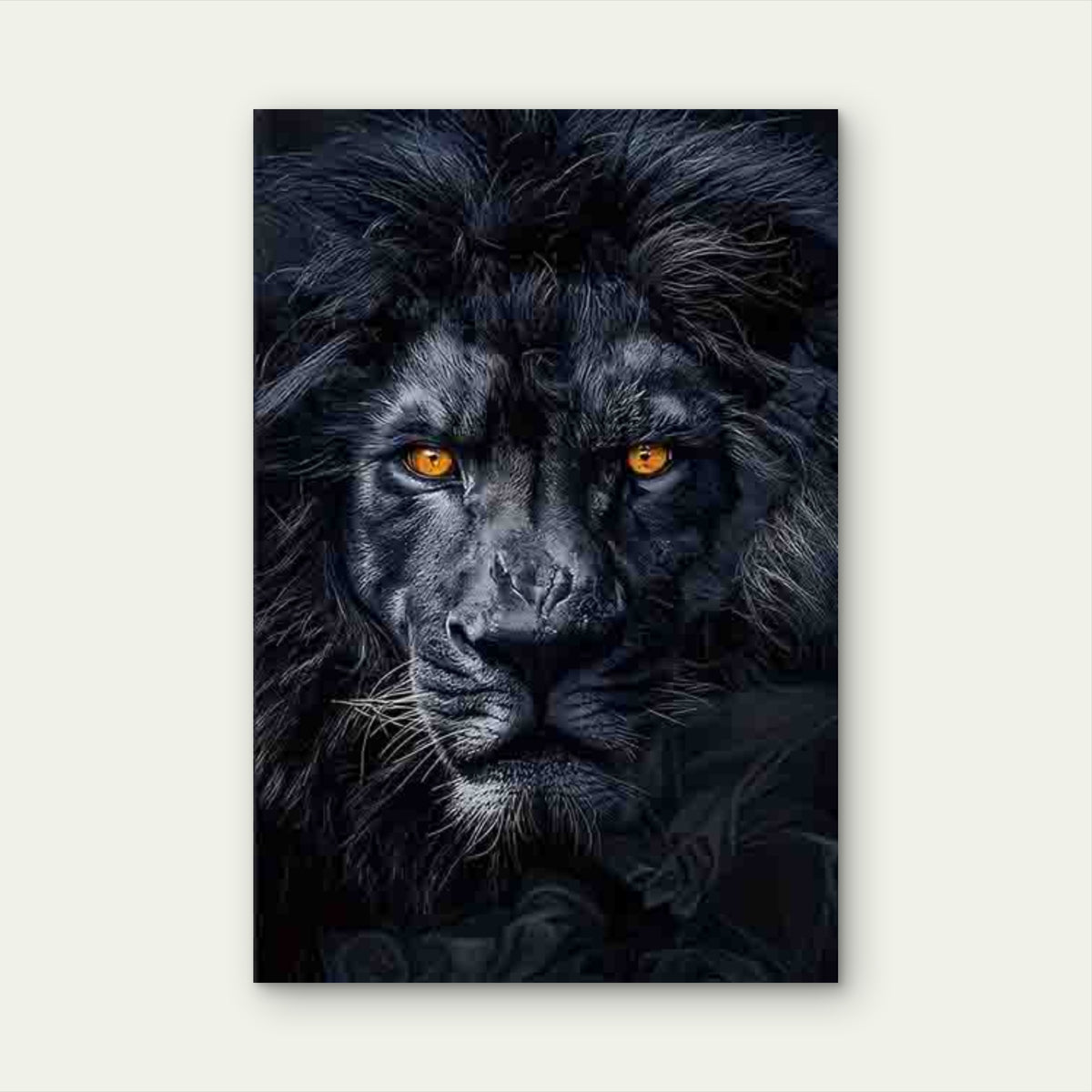 Majestic Black Lion60x90cm Metal Print Ready to Hang
