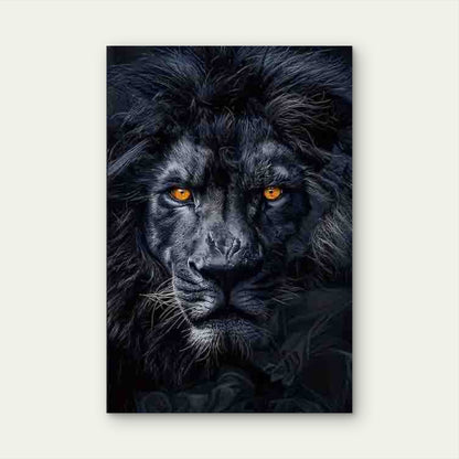 Majestic Black Lion Metal Print Ready to Hang