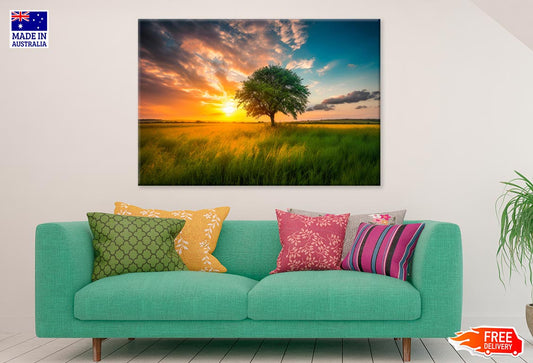 A Tree In A Field With The Sun Print 100% Australian Made