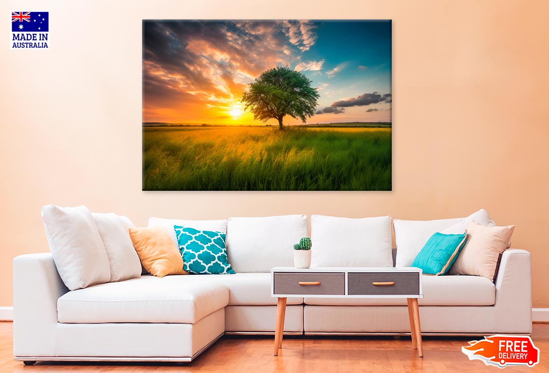 A Tree In A Field With The Sun Print 100% Australian Made