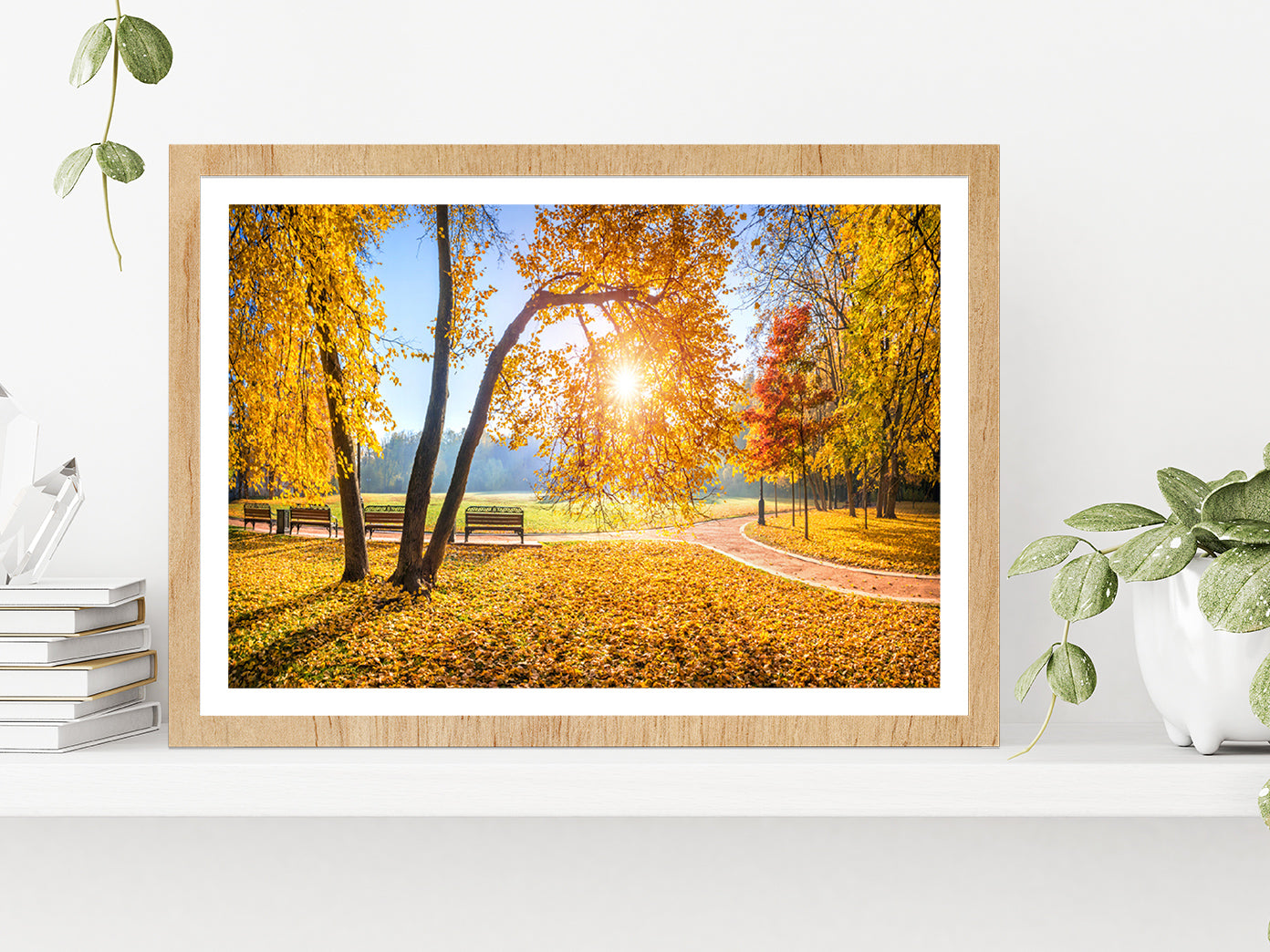 Autumn Trees In Tsaritsyno Park Glass Framed Wall Art, Ready to Hang Quality Print With White Border Oak