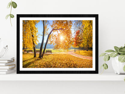 Autumn Trees In Tsaritsyno Park Glass Framed Wall Art, Ready to Hang Quality Print With White Border Black