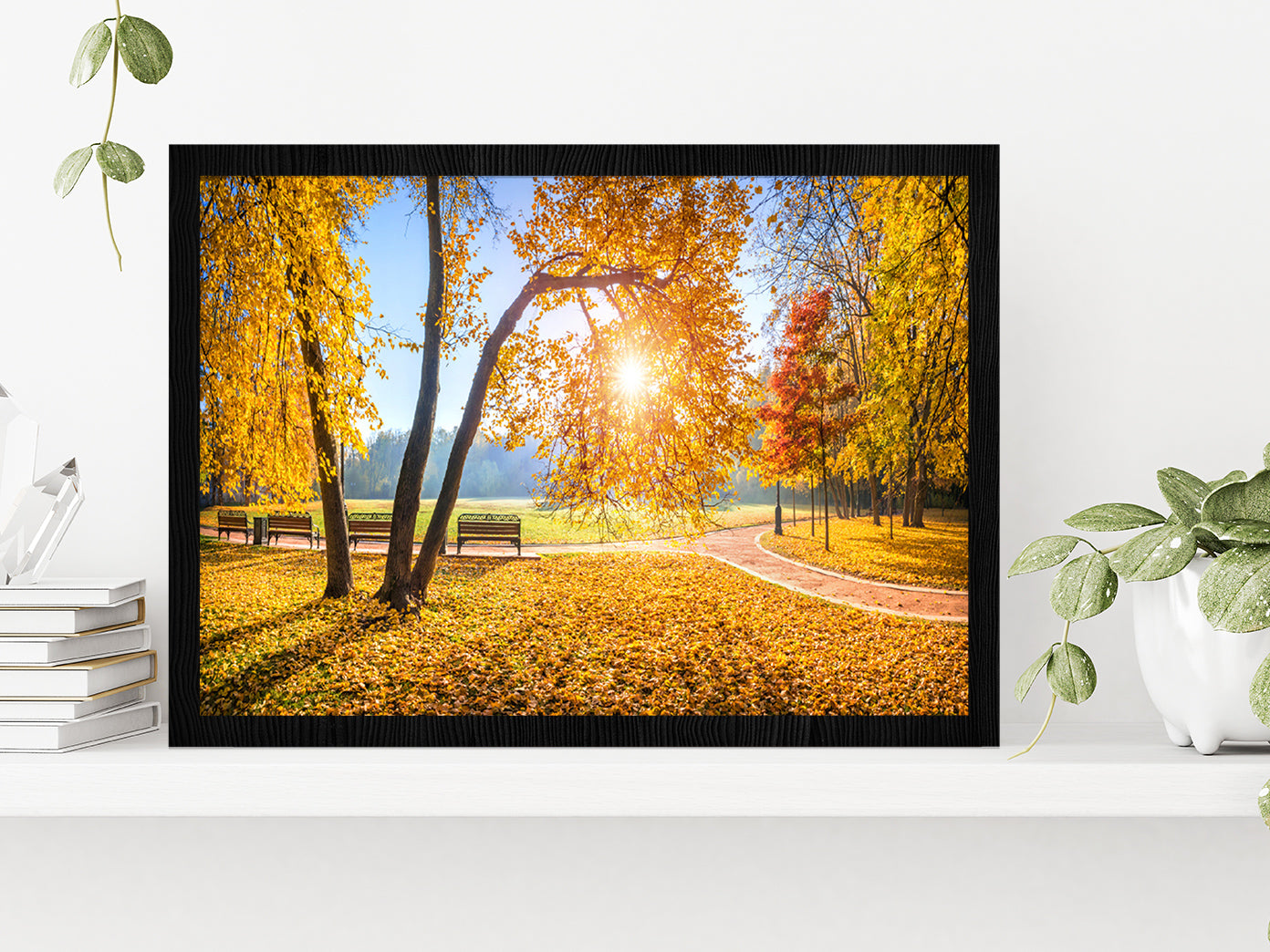 Autumn Trees In Tsaritsyno Park Glass Framed Wall Art, Ready to Hang Quality Print Without White Border Black