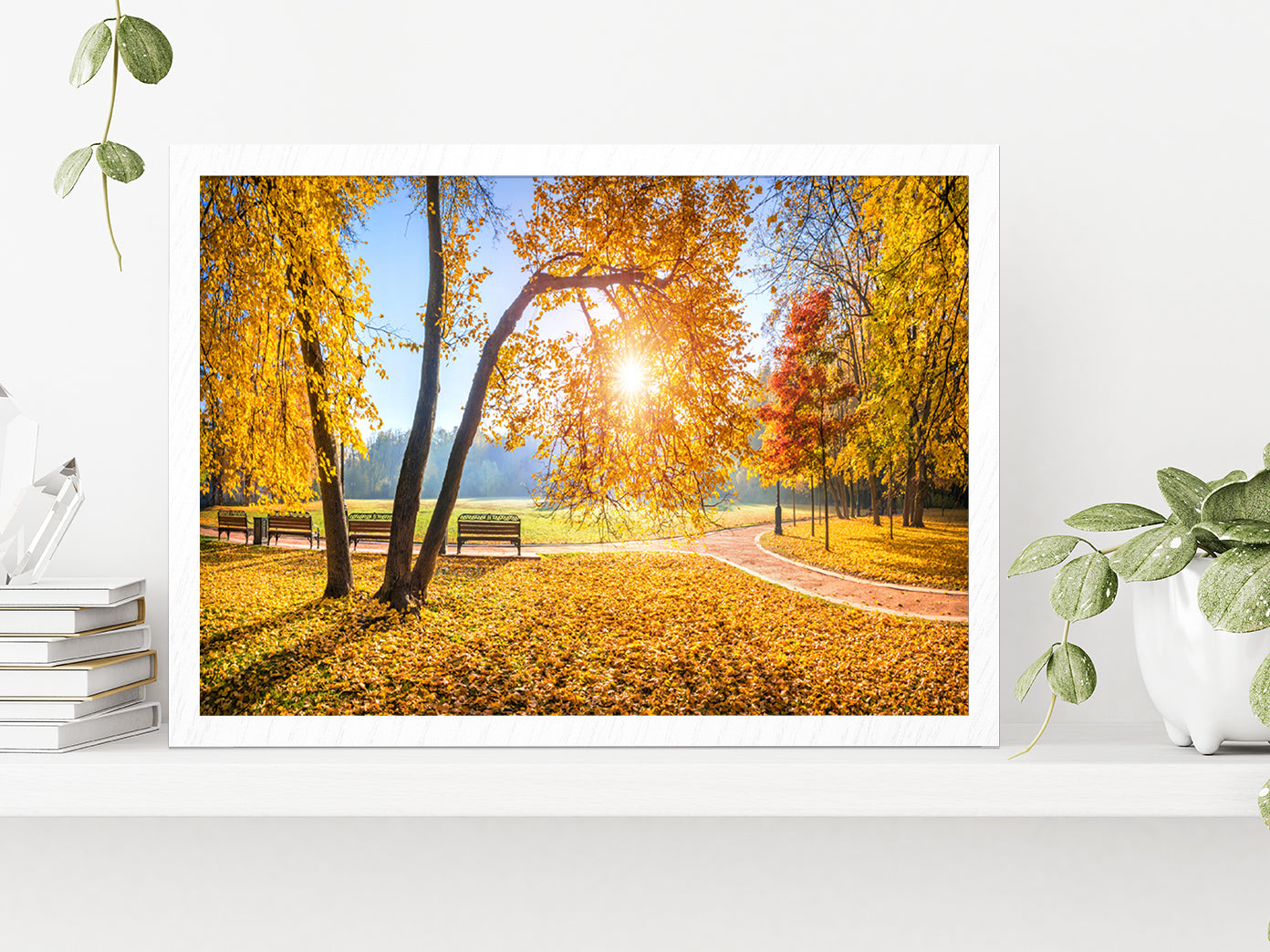 Autumn Trees In Tsaritsyno Park Glass Framed Wall Art, Ready to Hang Quality Print Without White Border White