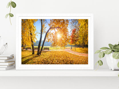 Autumn Trees In Tsaritsyno Park Glass Framed Wall Art, Ready to Hang Quality Print With White Border White