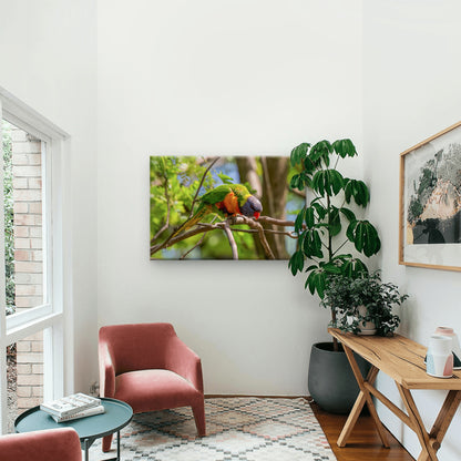 Cute Rainbow Lorikeet Australia Wall Art Decor 100% Australian Made