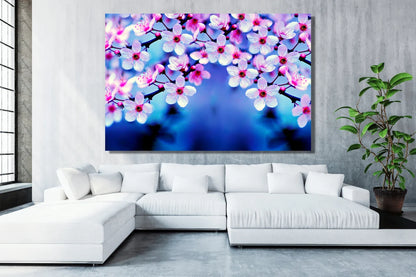 Cherry Blossom Japanese Flower Acrylic Glass Print Tempered Glass Wall Art 100% Made in Australia Ready to Hang