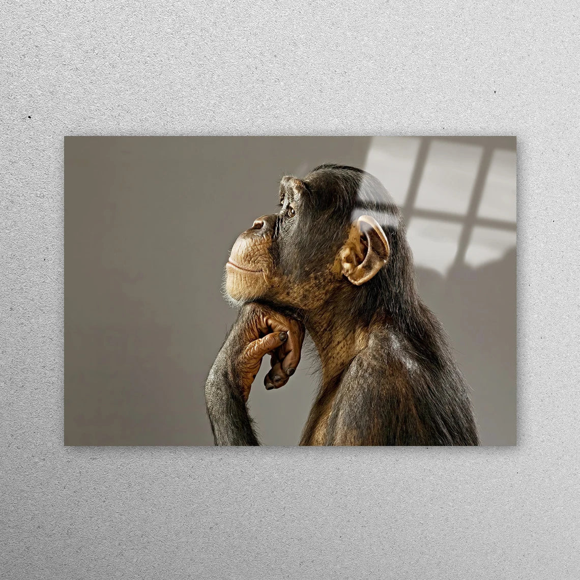 Thinking Monkey Photo Acrylic Glass Print Tempered Glass Wall Art 100% Made in Australia Ready to Hang