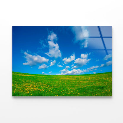 Grassland and Blue Sky Acrylic Glass Print Tempered Glass Wall Art 100% Made in Australia Ready to Hang