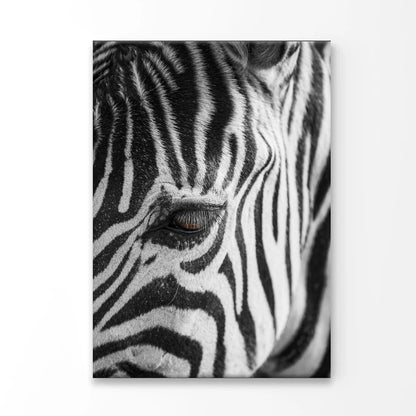 B&W Zebra Close Up Photograph  60x90cm Print 100% Australian Made