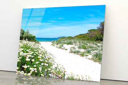 Pathway through the Sand Dunes Sardinia Acrylic Glass Print Tempered Glass Wall Art 100% Made in Australia Ready to Hang