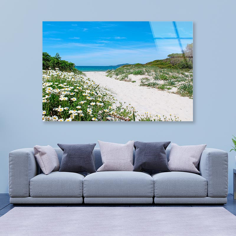 Pathway through the Sand Dunes Sardinia Acrylic Glass Print Tempered Glass Wall Art 100% Made in Australia Ready to Hang