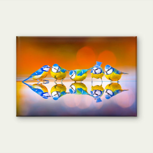 Eurasian Blue Tit Birds Reflect On Lake Wall Art Decor 100% Australian Made
