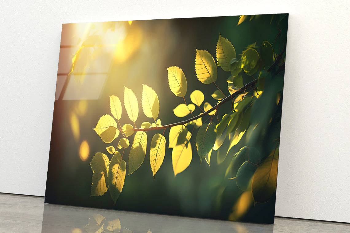 Morning Sunshine, Branch and Leaf Acrylic Glass Print Tempered Glass Wall Art 100% Made in Australia Ready to Hang