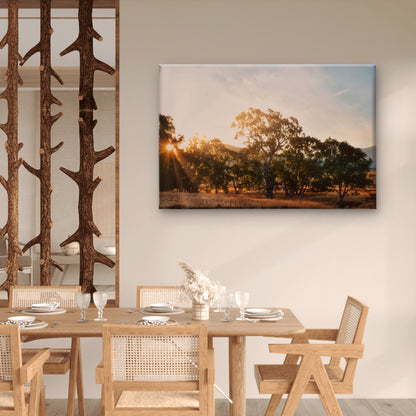 Sunset Australian Gum Trees Wall Art Decor 100% Australian Made